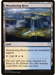Magic: The Gathering Meandering River (265) Lightly Played