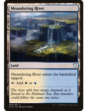 Magic: The Gathering Meandering River (265) Lightly Played