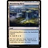 Magic: The Gathering Meandering River (265) Lightly Played