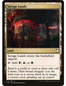 Magic: The Gathering Savage Lands (275) Lightly Played