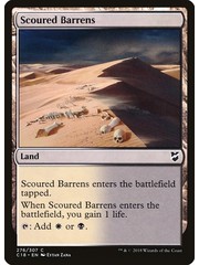 Magic: The Gathering Scoured Barrens (276) Lightly Played