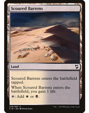 Magic: The Gathering Scoured Barrens (276) Lightly Played