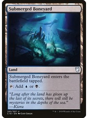 Magic: The Gathering Submerged Boneyard (283) Lightly Played