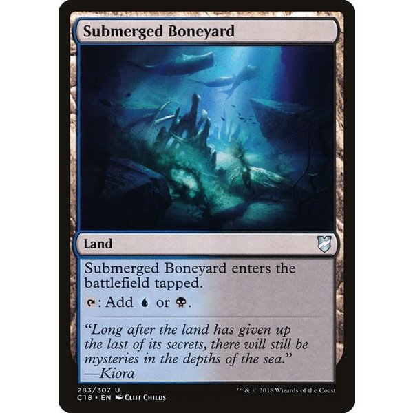 Magic: The Gathering Submerged Boneyard (283) Lightly Played