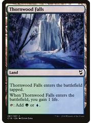 Magic: The Gathering Thornwood Falls (287) Lightly Played