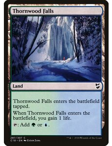 Magic: The Gathering Thornwood Falls (287) Lightly Played