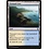 Magic: The Gathering Tranquil Cove (288) Lightly Played