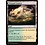 Magic: The Gathering Tranquil Expanse (289) Moderately Played