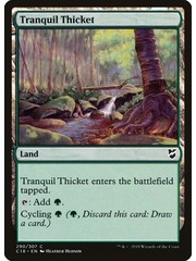 Magic: The Gathering Tranquil Thicket (290) Lightly Played