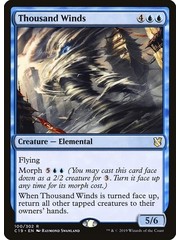 Magic: The Gathering Thousand Winds (100) Lightly Played
