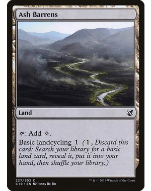 Magic: The Gathering Ash Barrens (227) Lightly Played