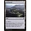 Magic: The Gathering Ash Barrens (227) Lightly Played