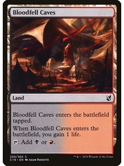Magic: The Gathering Bloodfell Caves (230) Lightly Played