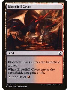 Magic: The Gathering Bloodfell Caves (230) Lightly Played