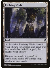 Magic: The Gathering Evolving Wilds (241) Lightly Played