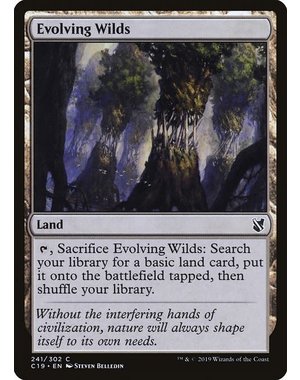 Magic: The Gathering Evolving Wilds (241) Lightly Played