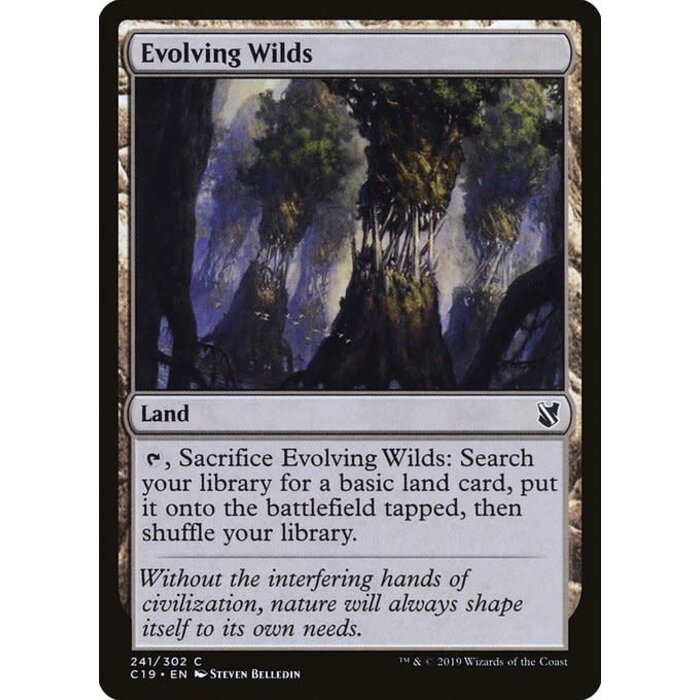 Magic: The Gathering Evolving Wilds (241) Lightly Played