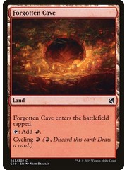 Magic: The Gathering Forgotten Cave (243) Lightly Played