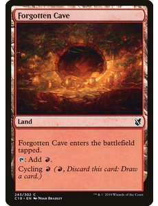 Magic: The Gathering Forgotten Cave (243) Lightly Played