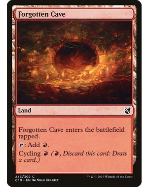 Magic: The Gathering Forgotten Cave (243) Lightly Played