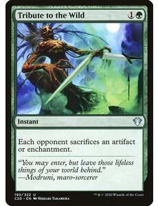 Magic: The Gathering Tribute to the Wild (193) Near Mint