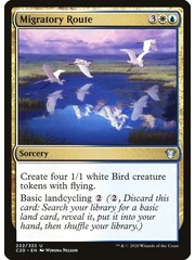 Magic: The Gathering Migratory Route (222) Lightly Played