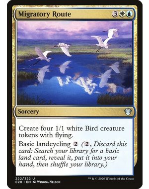 Magic: The Gathering Migratory Route (222) Lightly Played