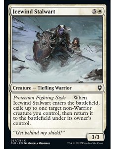 Magic: The Gathering Icewind Stalwart (027) Near Mint Foil
