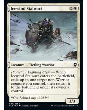 Magic: The Gathering Icewind Stalwart (027) Near Mint Foil