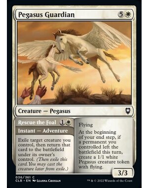 Magic: The Gathering Pegasus Guardian (036) Near Mint Foil