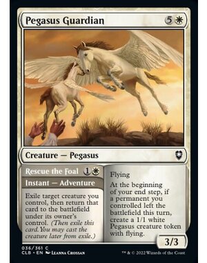 Magic: The Gathering Pegasus Guardian (036) Near Mint