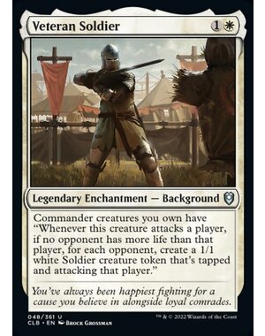 Magic: The Gathering Veteran Soldier (048) Near Mint