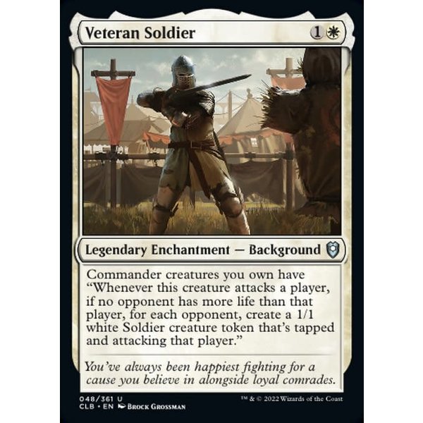 Magic: The Gathering Veteran Soldier (048) Near Mint Foil