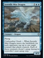 Magic: The Gathering Juvenile Mist Dragon (079) Near Mint