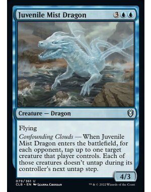 Magic: The Gathering Juvenile Mist Dragon (079) Near Mint