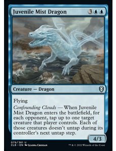 Magic: The Gathering Juvenile Mist Dragon (079) Near Mint Foil