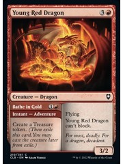 Magic: The Gathering Young Red Dragon (210) Near Mint Foil