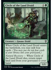 Magic: The Gathering Circle of the Land Druid (220) Near Mint