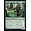 Magic: The Gathering Circle of the Land Druid (220) Near Mint