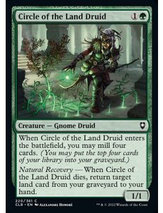 Magic: The Gathering Circle of the Land Druid (220) Near Mint Foil