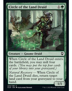 Magic: The Gathering Circle of the Land Druid (220) Near Mint Foil