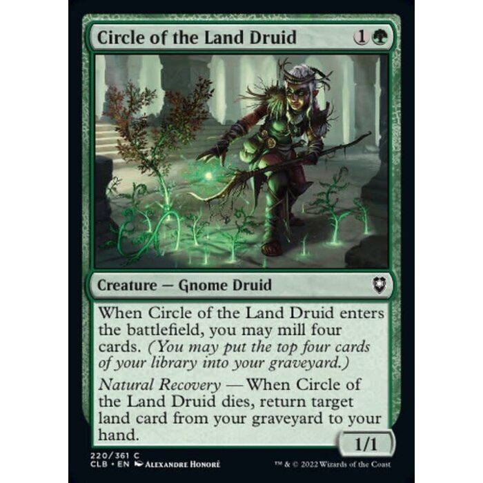Magic: The Gathering Circle of the Land Druid (220) Near Mint Foil