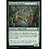 Magic: The Gathering Draconic Muralists (224) Near Mint