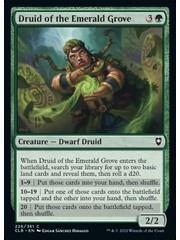Magic: The Gathering Druid of the Emerald Grove (226) Near Mint Foil