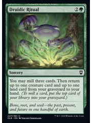 Magic: The Gathering Druidic Ritual (227) Near Mint