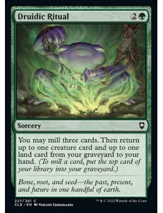 Magic: The Gathering Druidic Ritual (227) Near Mint Foil