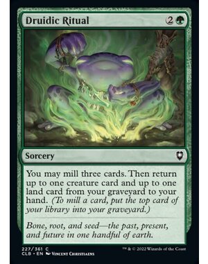 Magic: The Gathering Druidic Ritual (227) Near Mint Foil