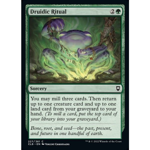 Magic: The Gathering Druidic Ritual (227) Near Mint Foil