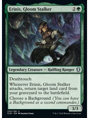 Magic: The Gathering Erinis, Gloom Stalker (230) Near Mint Foil