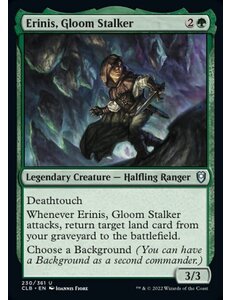 Magic: The Gathering Erinis, Gloom Stalker (230) Near Mint Foil